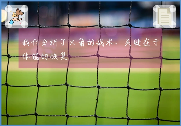 我们分析了火箭的战术，关键在于体能的恢复