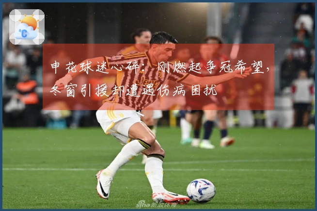 申花球迷心碎：刚燃起争冠希望，冬窗引援却遭遇伤病困扰