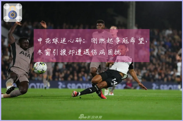 申花球迷心碎：刚燃起争冠希望，冬窗引援却遭遇伤病困扰